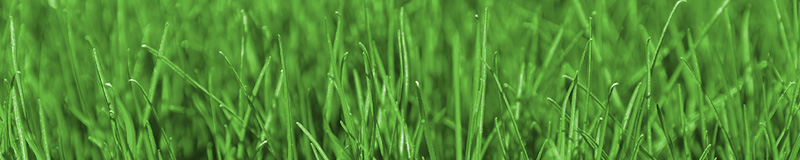 Apoio Técnico ao Fundador e Conselheiros